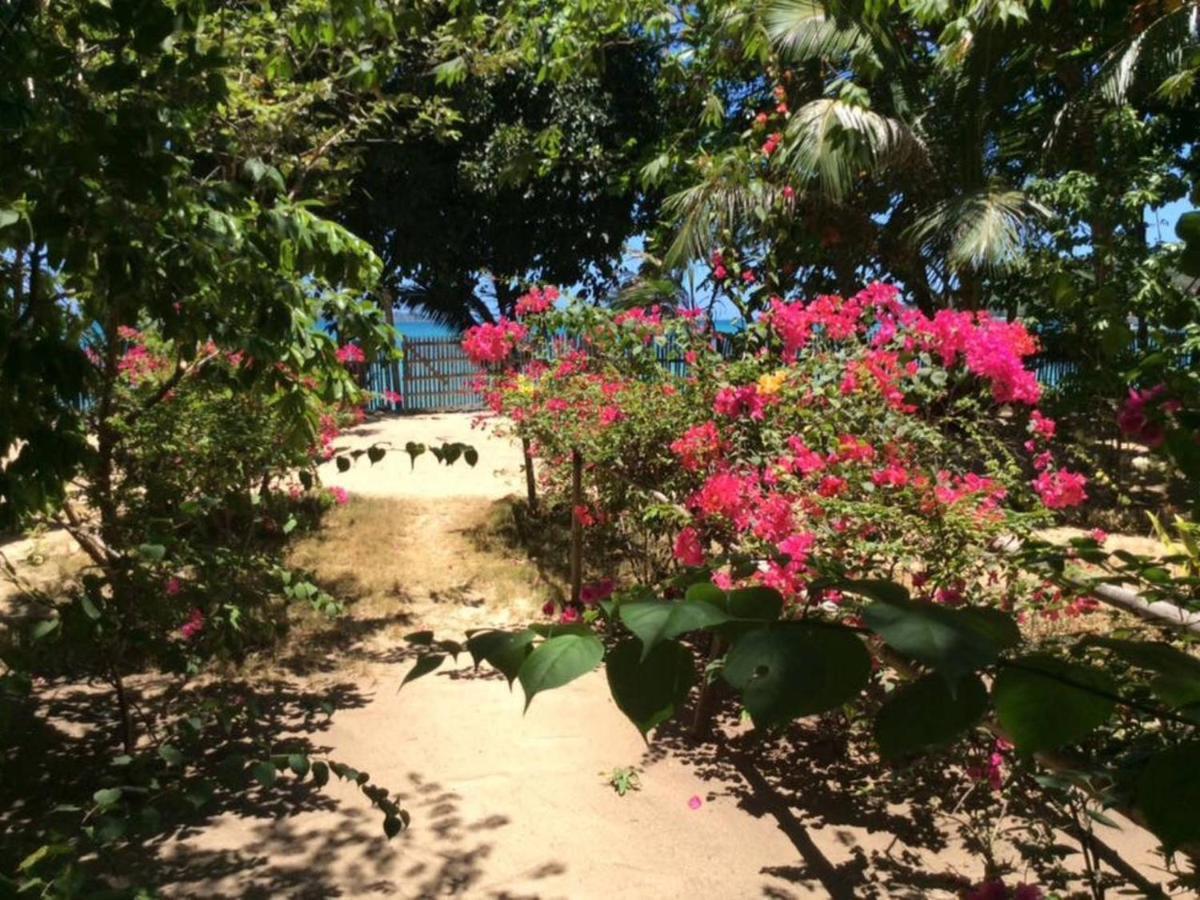 Casa Felicidad Hotel El Nido Ngoại thất bức ảnh